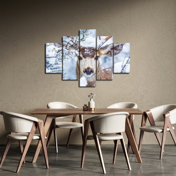Obraz - Jelenec himalájsky (150x105 cm)