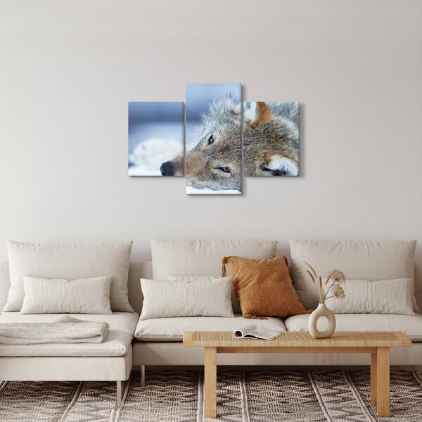 Obraz - Vlk (90x60 cm)