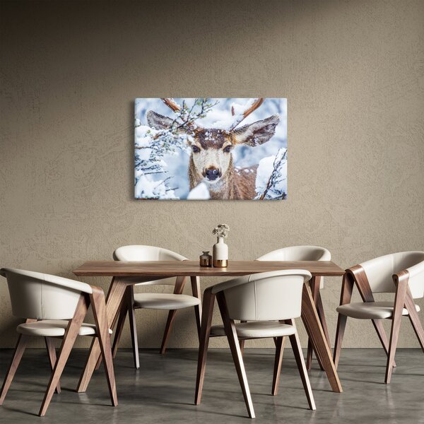 Obraz - Jelenec himalájsky (90x60 cm)