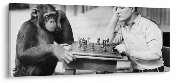 Obraz - Cirkus 2 (120x50 cm)