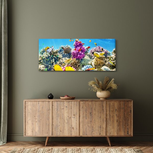 Obraz - Morský svet (120x50 cm)
