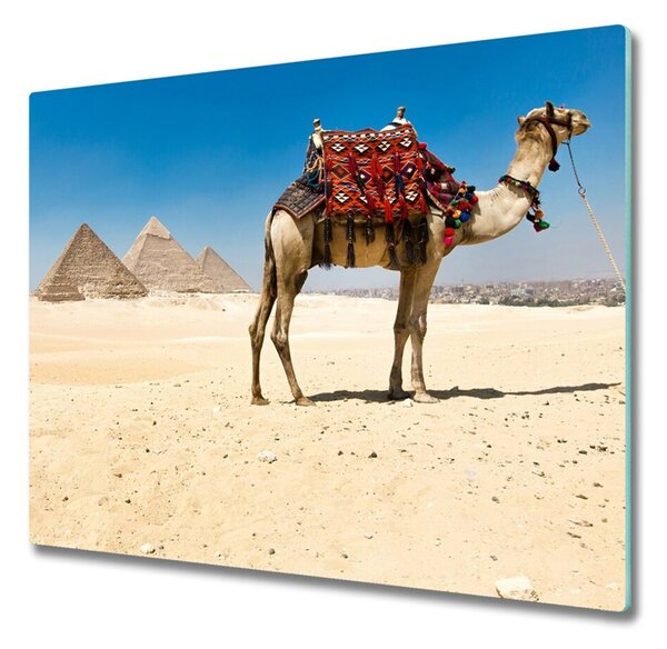 Sklenená doska na krájanie Camel v káhire 60x52 cm
