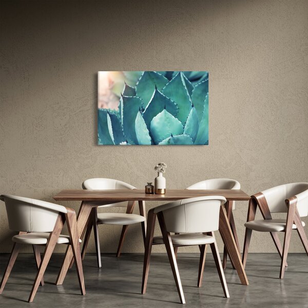 Obraz - Sukulent (90x60 cm)