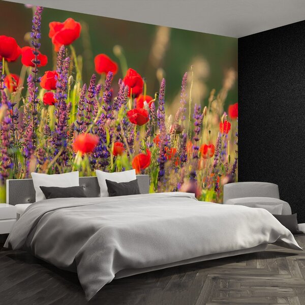Fototapeta Vliesová Poľné kvety 250x104 cm