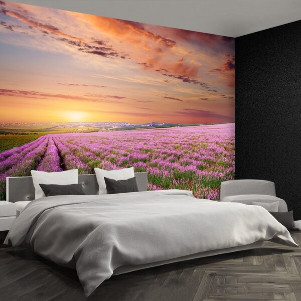 Fototapeta Vliesová Levanduľové polia 152x104 cm