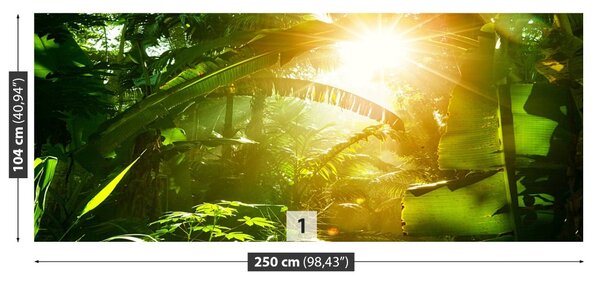 Fototapeta Vliesová Džungľa vietnam 250x104 cm