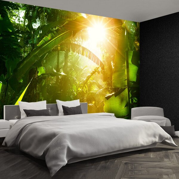 Fototapeta Vliesová Džungľa vietnam 250x104 cm