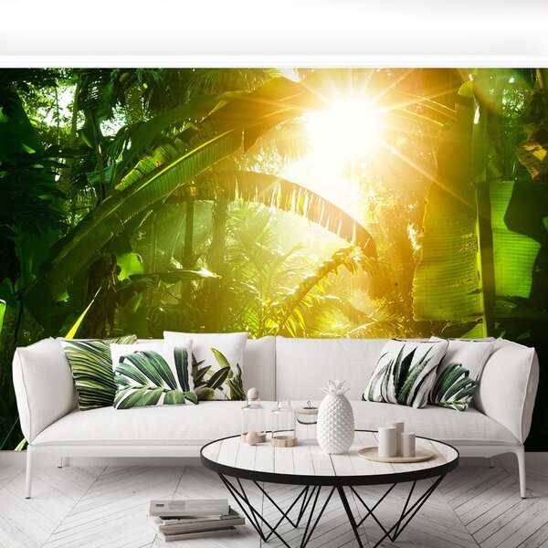 Fototapeta Vliesová Džungľa vietnam 250x104 cm