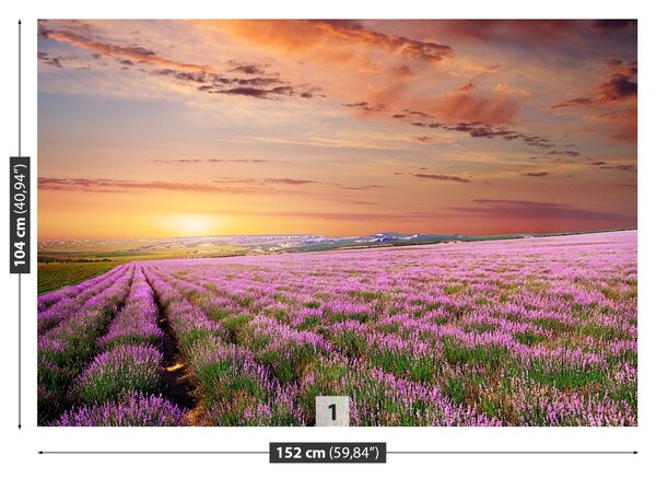 Fototapeta Vliesová Levanduľové polia 152x104 cm