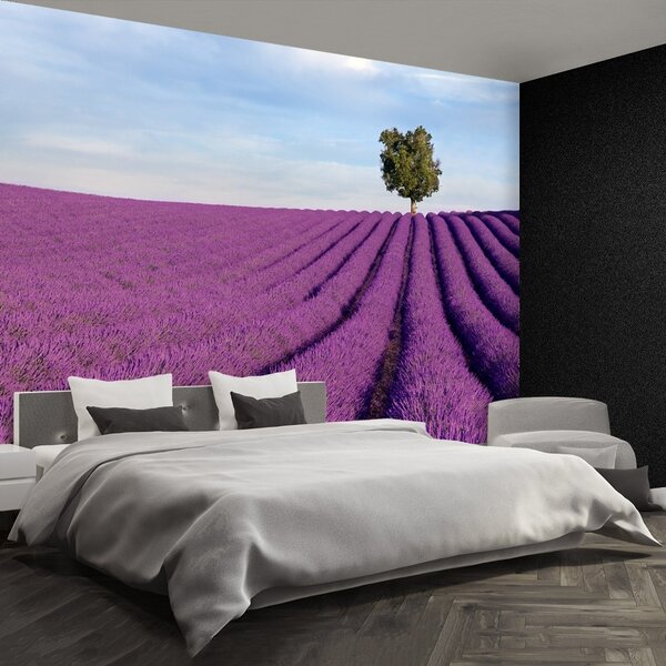 Fototapeta Vliesová Levanduľové polia 250x104 cm
