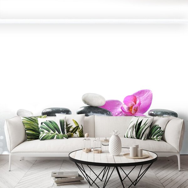 Fototapeta Vliesová Kúpeľné kamene 250x104 cm