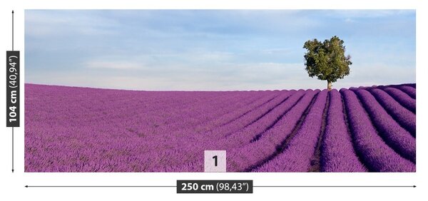 Fototapeta Vliesová Levanduľové polia 250x104 cm