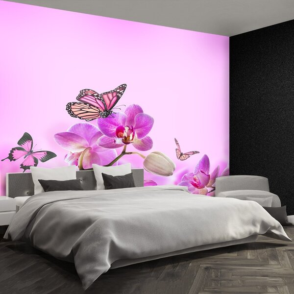 Fototapeta Vliesová Orchid motýľ 250x104 cm