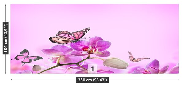Fototapeta Vliesová Orchid motýľ 250x104 cm
