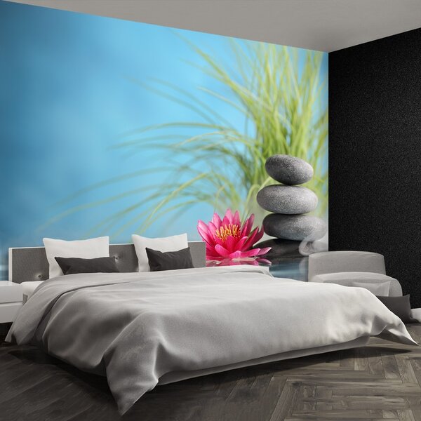 Fototapeta Vliesová Kúpele ľalia vodná 152x104 cm