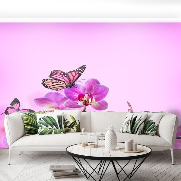 Fototapeta Vliesová Orchid motýľ 250x104 cm