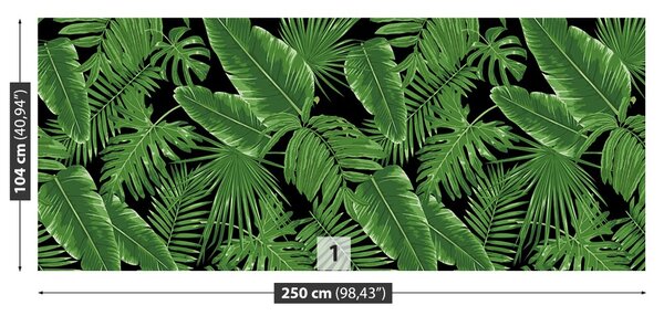 Fototapeta Vliesová Džungľa v noci 250x104 cm