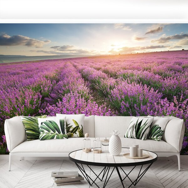 Fototapeta Vliesová Levanduľa lúka 152x104 cm