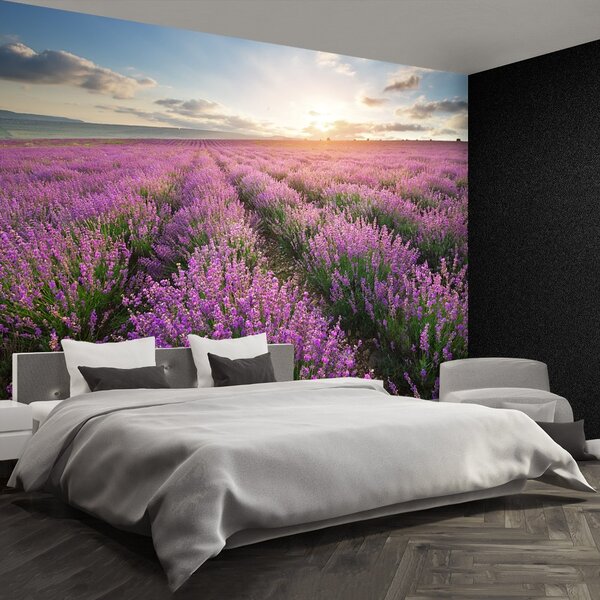 Fototapeta Vliesová Levanduľa lúka 152x104 cm