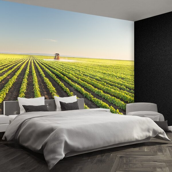 Fototapeta Vliesová Poľa 104x70 cm