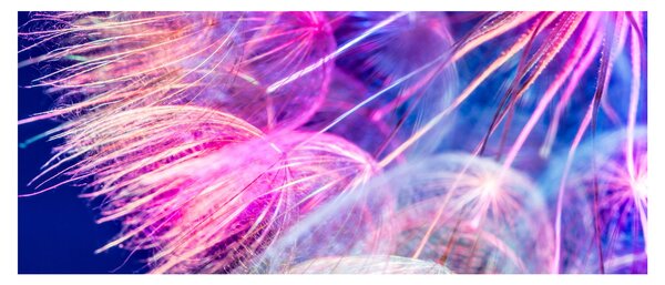 Obraz - Makro (120x50 cm)