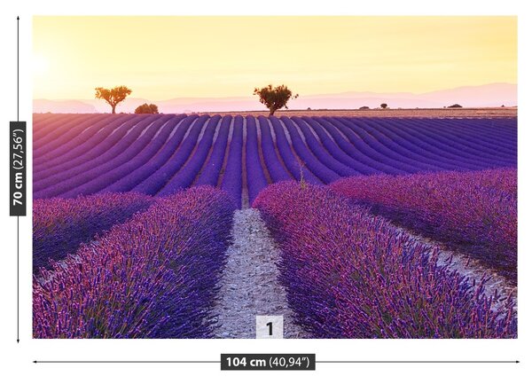 Fototapeta Vliesová Levanduľová poľa 104x70 cm