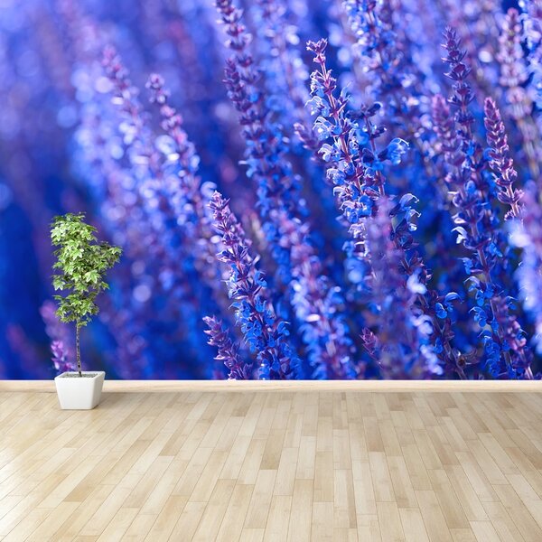 Fototapeta Vliesová Levanduľovej kvety 104x70 cm