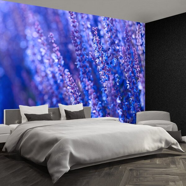 Fototapeta Vliesová Levanduľovej kvety 104x70 cm