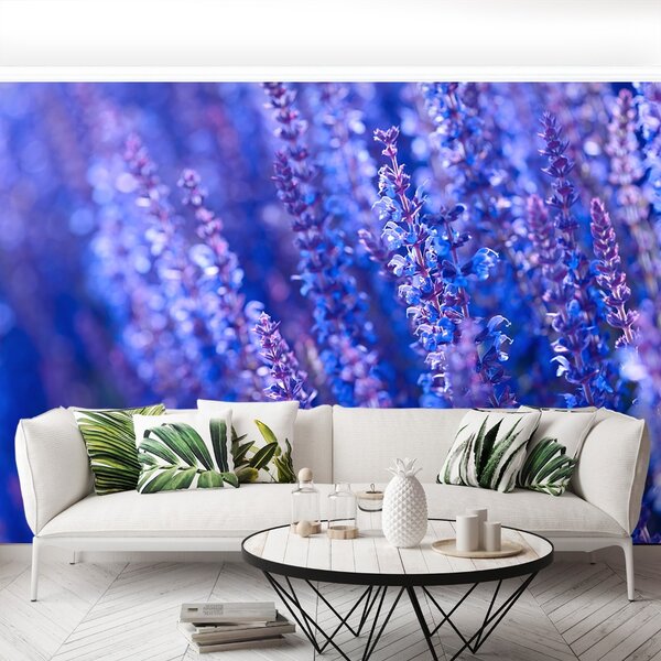 Fototapeta Vliesová Levanduľovej kvety 104x70 cm
