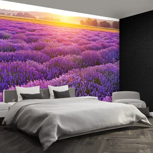 Fototapeta Vliesová Levanduľové polia 152x104 cm