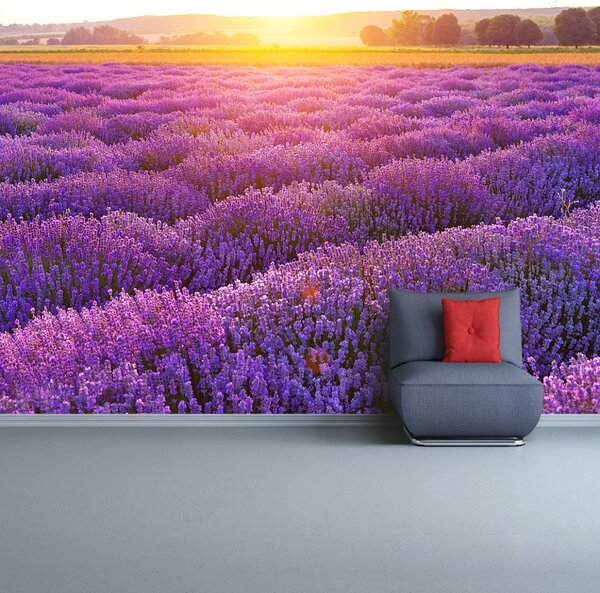 Fototapeta Vliesová Levanduľové polia 152x104 cm