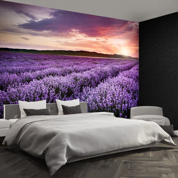 Fototapeta Vliesová Levanduľové polia 104x70 cm