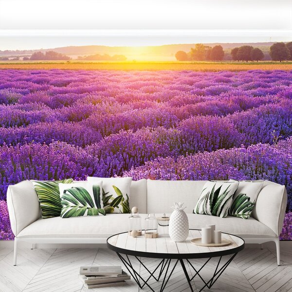Fototapeta Vliesová Levanduľové polia 152x104 cm