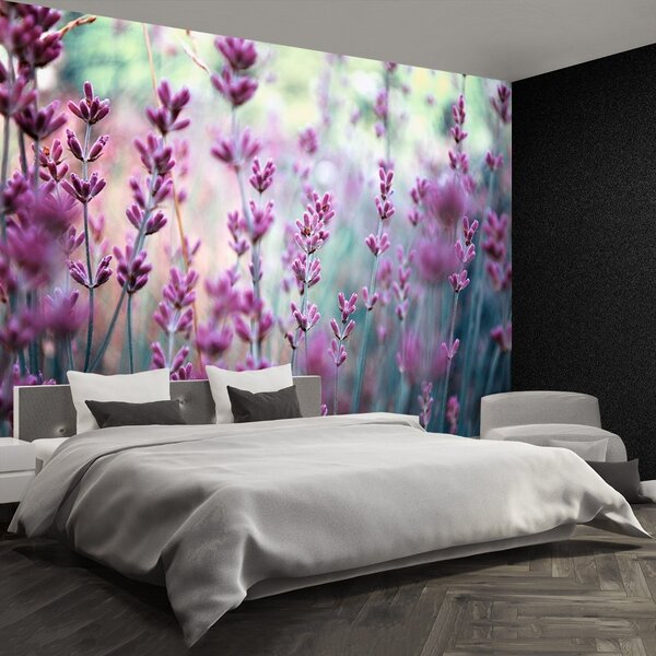 Fototapeta Vliesová Levanduľová zelená 104x70 cm