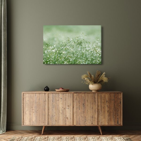 Obraz - Rosa v tráve (90x60 cm)