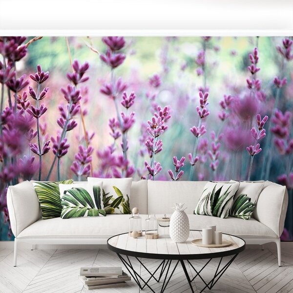 Fototapeta Vliesová Levanduľová zelená 104x70 cm