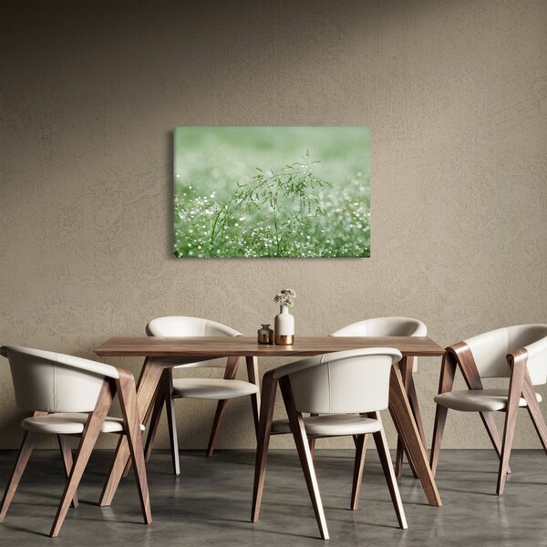 Obraz - Rosa v tráve (90x60 cm)