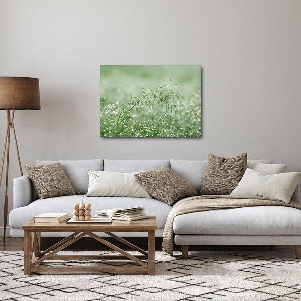 Obraz - Rosa v tráve (70x50 cm)