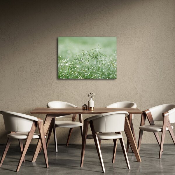 Obraz - Rosa v tráve (70x50 cm)