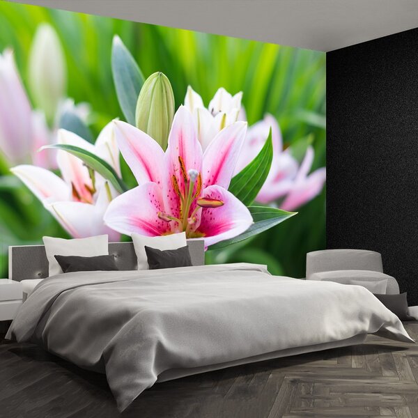 Fototapeta Vliesová Zelená ľalia 104x70 cm