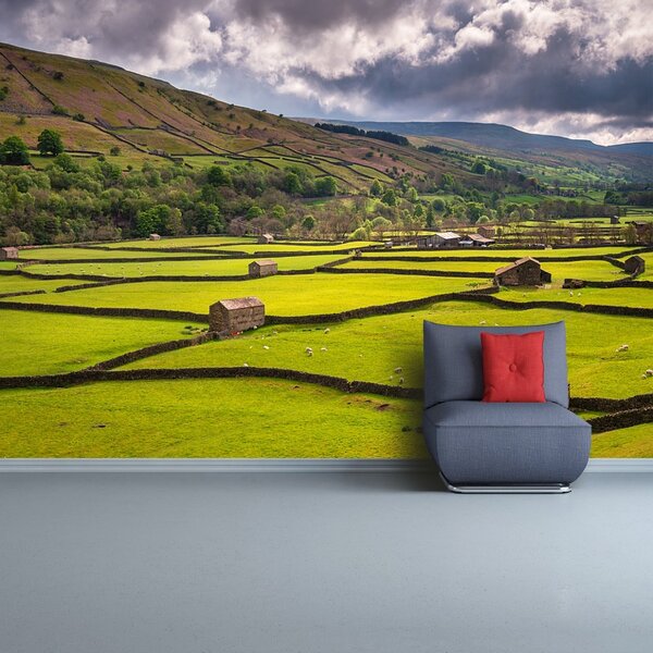Fototapeta Vliesová Yorkshire poľa 250x104 cm