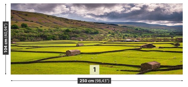 Fototapeta Vliesová Yorkshire poľa 250x104 cm