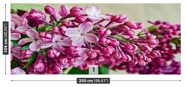 Fototapeta Vliesová Ružové ľalia 250x104 cm