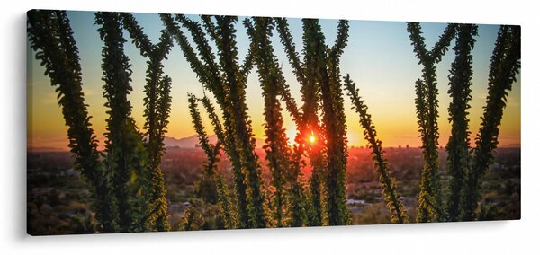 Obraz - Rastliny (120x50 cm)