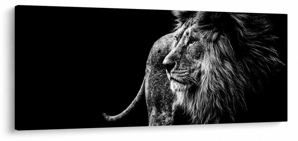 Obraz - Lev (120x50 cm)