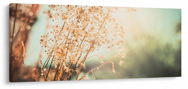 Obraz - Lúčne rastliny (120x50 cm)