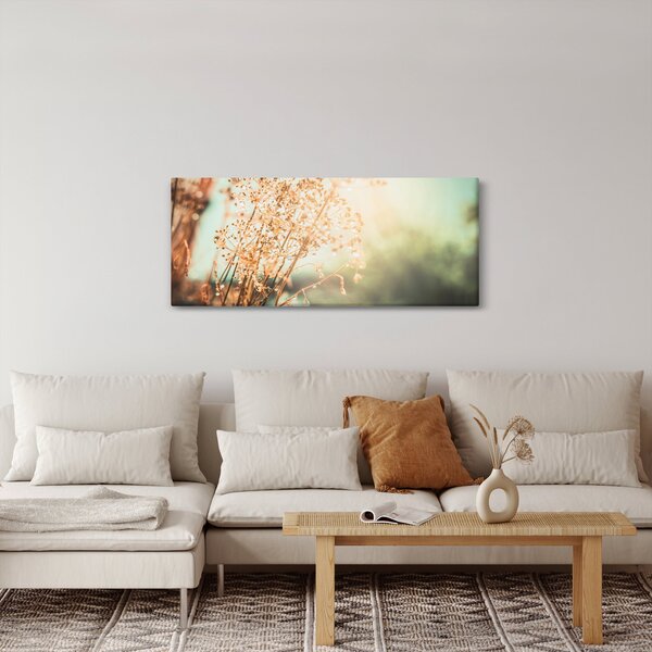 Obraz - Lúčne rastliny (120x50 cm)