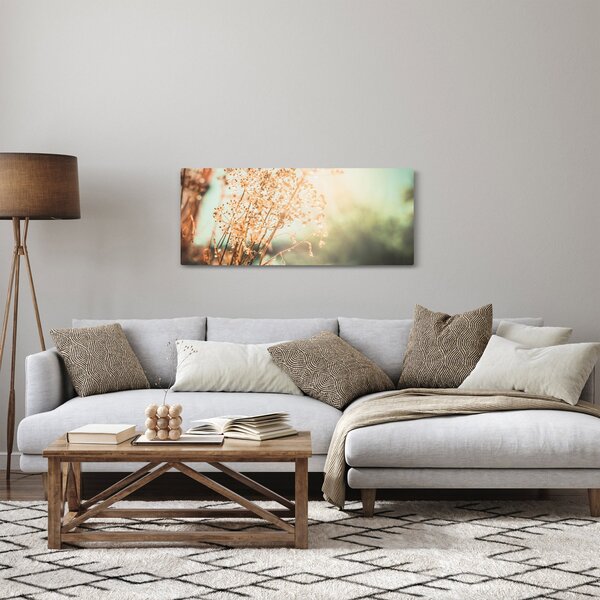 Obraz - Lúčne rastliny (120x50 cm)
