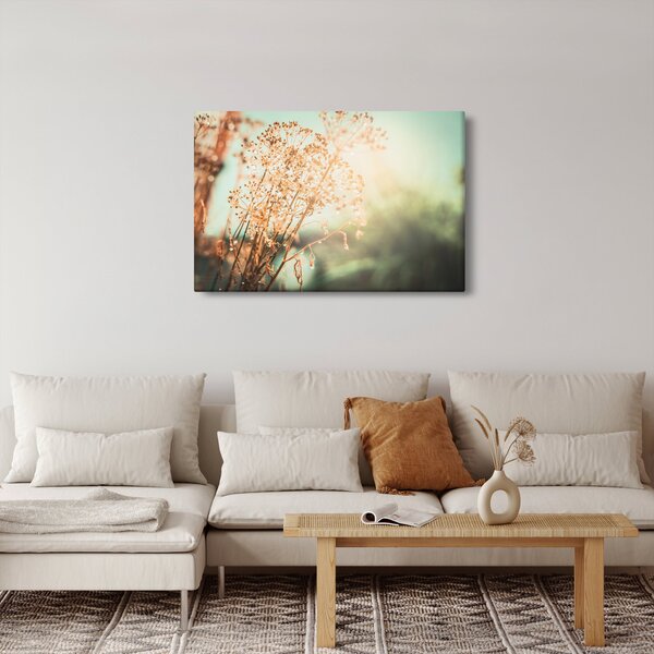 Obraz - Lúčne rastliny (90x60 cm)