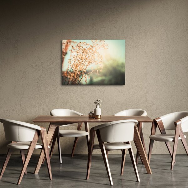 Obraz - Lúčne rastliny (70x50 cm)